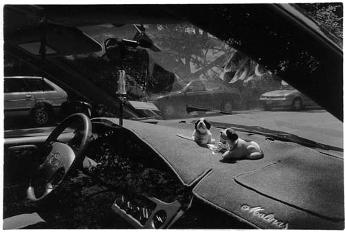 Dashboard Dogs, San Francisco 2003