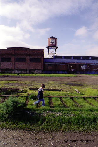 Walking, Santa Rosa 2003